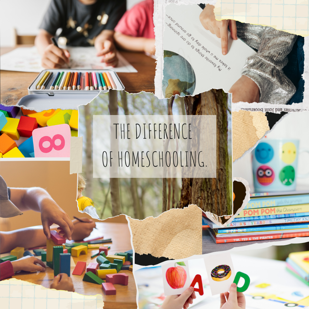 Why We Chose to Homeschool