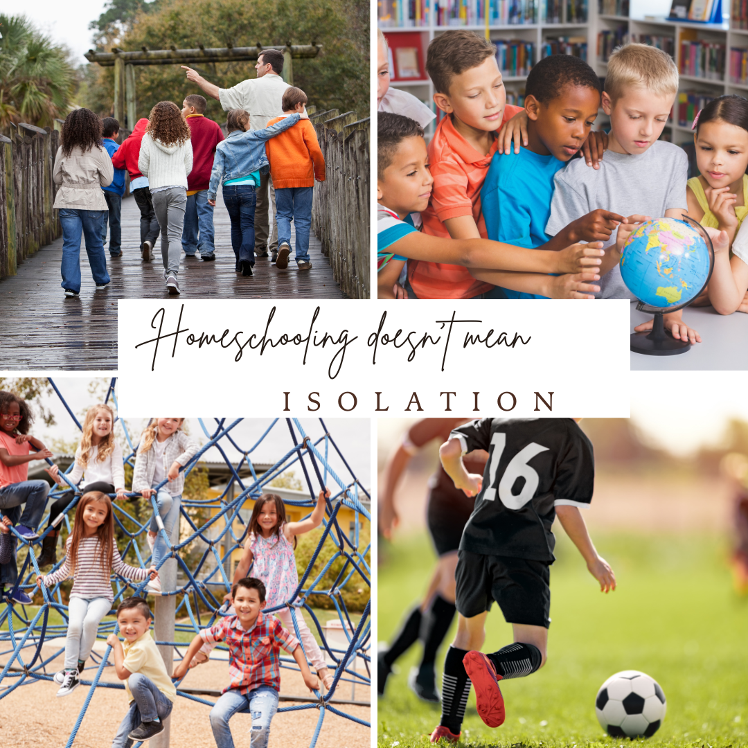 Homeschooling & Socialization