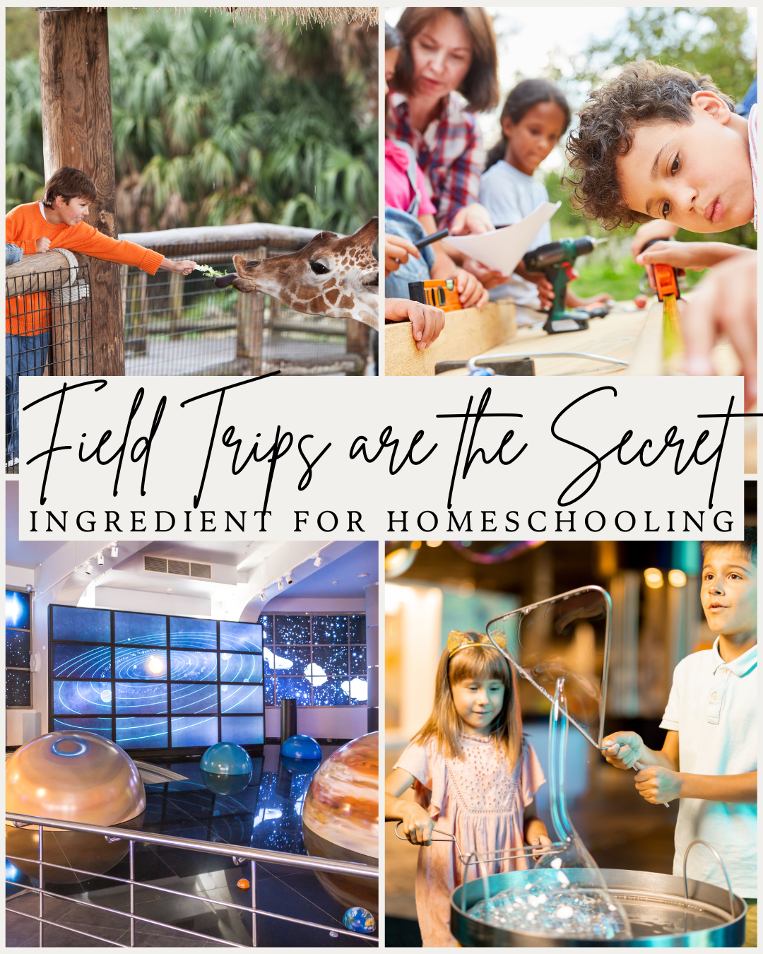 Field Trips Are the Secret Sauce of Homeschooling